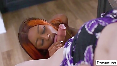 Free Blowjob Porn Videos - inshemale.com